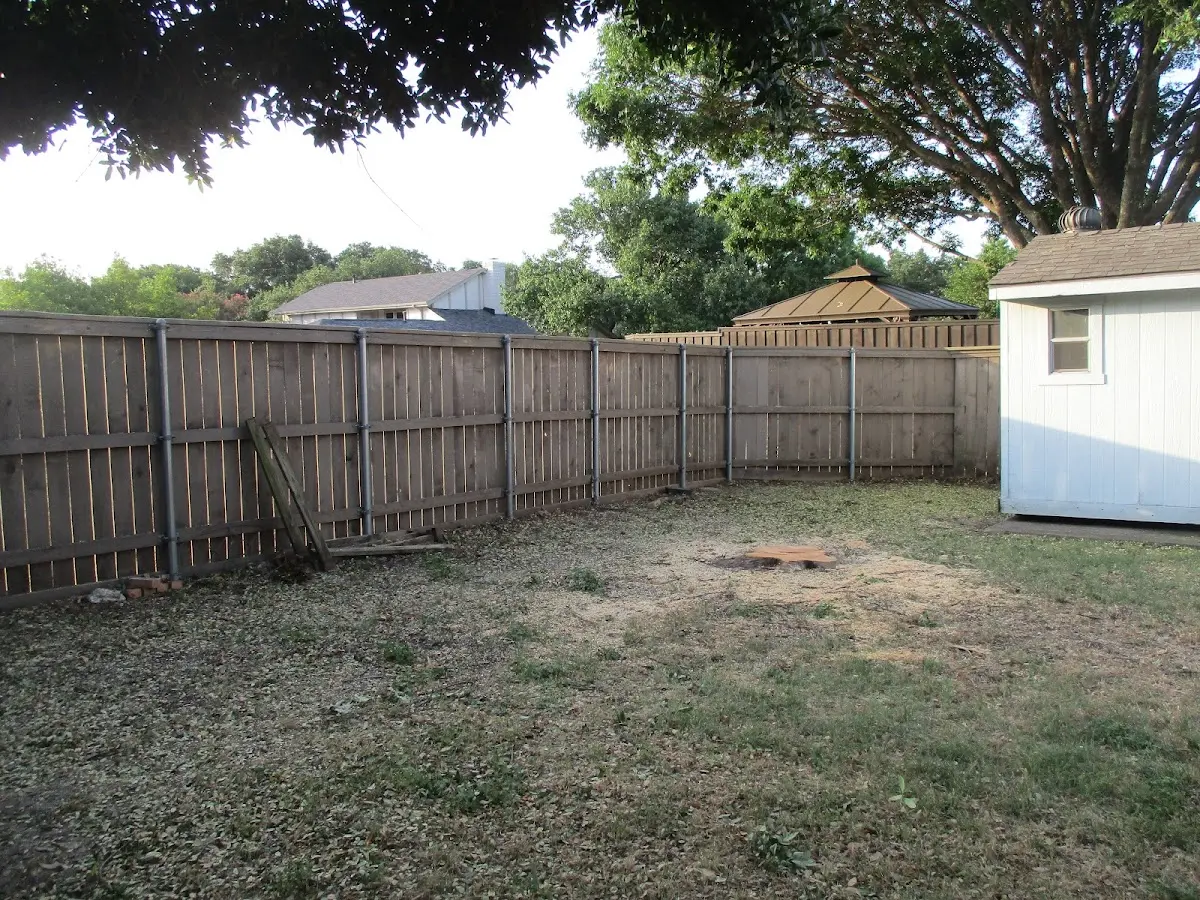 Cleared yard after professional tree removal in Neville