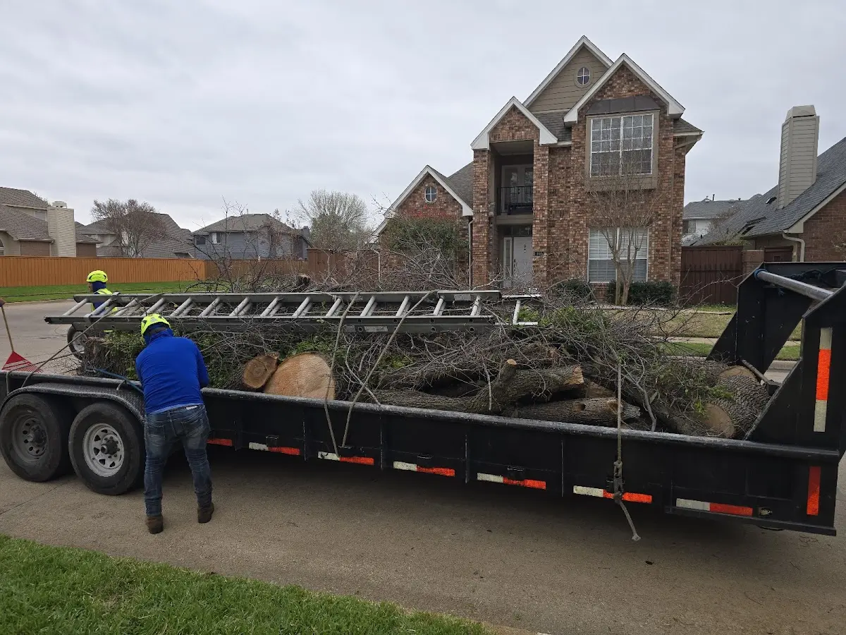 Expert Tree Fertilization with proper safety equipment in Neville